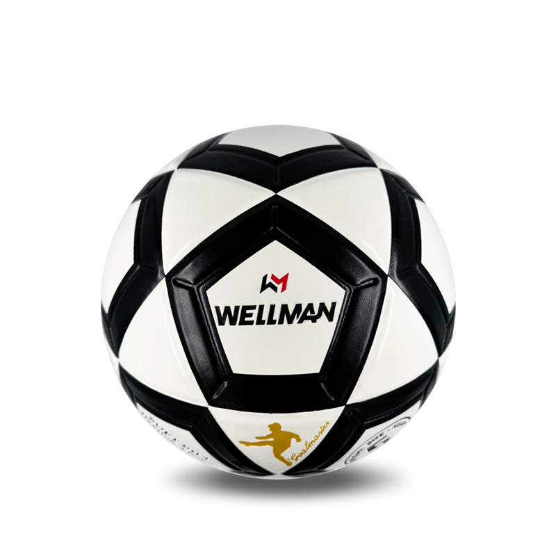 Benutzerdefiniertes Logo Pro Größe 5 Fußball | Match- und Club-Großhandel